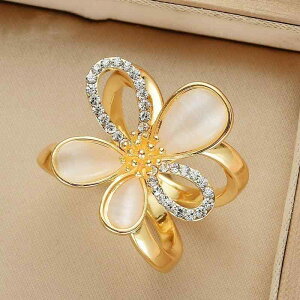 XJ[t obN l킢 fB[X ANZT[ WG[ G nCGh AS[h XNGA і obN R[i[ obN V[ XJ[t~ u[`