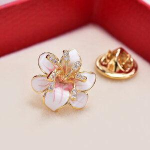 u[` fB[X w Ǝ ANZT[ su nCGh X^CbV  Mtg t@bV