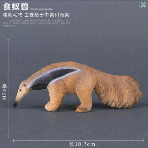 ͌^  E  ߋ vX`bN ÓI j̎q 쐶 RNV q ő i ACe 