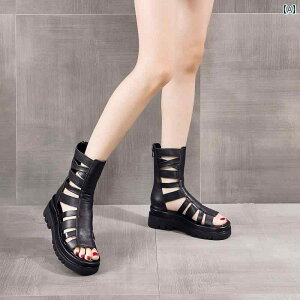 V[gu[c fB[X ~h䃍[}u[c \ V[Y  킢 ꂢ 킹₷ ₷ Abv T}[ Cxg tFX W[ AEghA p[eB