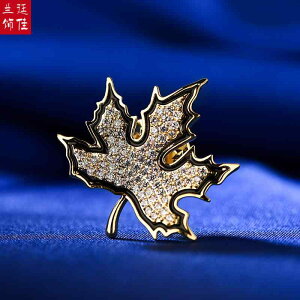 u[` w Ǝ fB[X  Io h~ ݃s obN  Œ 킢 a I s J[fBK obN ANZT[ t@bV i