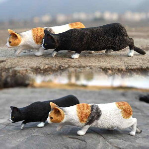 L ͋[ tBMA l` zr[  ͌^ V~[V  A RNV fBXvC ~j`A 킢 i q Mtg 