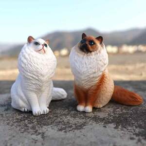 VL Lbg tBMA l` zr[  ͌^ V~[V  A RNV fBXvC ~j`A 킢  q Mtg