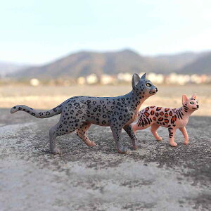 L qE tBMA l` zr[  ͌^ V~[V  A RNV fBXvC ~j`A ͋[ 킢 GL]`bN Mtg