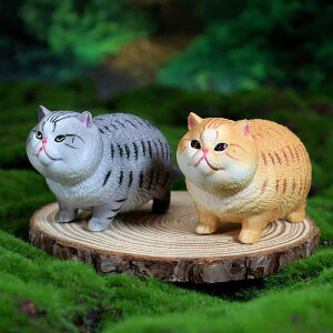 Lbg L tBMA l` zr[  ͌^ V~[V  A RNV fBXvC ~j`A 킢   q Mtg