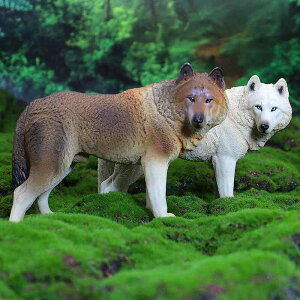 オオカミ 狼 ウルフ 大きめ フィギュア 人形 ホビー おもちゃ 模型 シミュレーション 動物 リアル コレクション ディスプレイ ミニチュア 装飾品 子供 教育