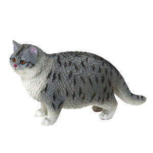 L Lbg tBMA l` zr[  ͌^ V~[V  A RNV fBXvC ~j`A 킢 i q Mtg