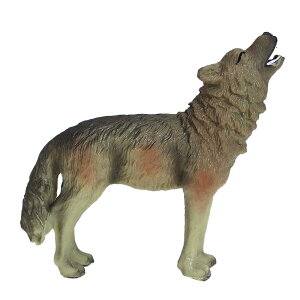 IIJ~ T Et tBMA l` zr[  ͌^ V~[V  A RNV fBXvC ~j`A i q  Mtg