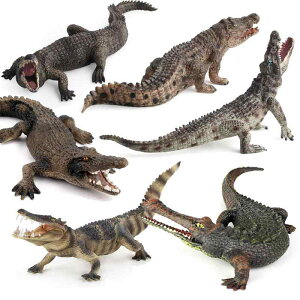 j AQ[^[ tBMA l` zr[  ͌^ V~[V  A RNV fBXvC ~j`A q v[g 