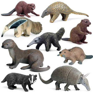 tBMA l` zr[  ͌^ V~[V  A RNV fBXvC ~j`A q JE\ ANC r[o[ i Mtg