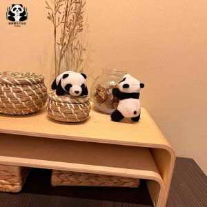 p_ u[` ANZT[ Aj} ʂ fB[X Zj[ 킢 t@bV ACe  fUC R[fBl[g