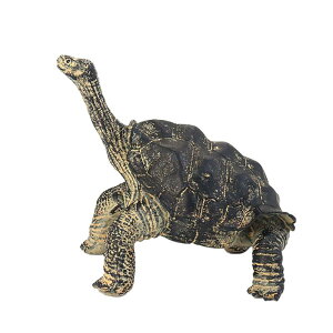 J ^[g tBMA l` zr[  ͌^ V~[V  A RNV fBXvC ~j`A i q Mtg  T