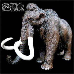 }X Ð tBMA l` zr[  ͌^ V~[V  A RNV fBXvC ~j`A X͊ q i 