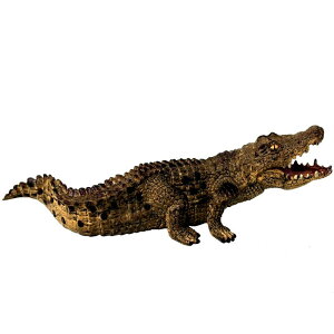 AQ[^[ NR_C tBMA l` zr[  ͌^ V~[V  A RNV Mtg ~j`A j i q Mtg