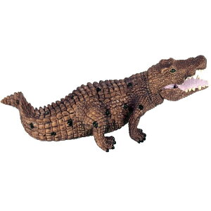 j NR_C tBMA l` zr[  ͌^ V~[V  A RNV fBXvC ~j`A ঒ q Mtg 