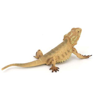 JI G}LgJQ tBMA l` zr[  ͌^  A RNV fBXvC ~j`A gJQ ঒ i q Mtg