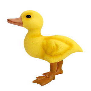 Aq tBMA l` zr[  ͌^ V~[V  A RNV fBXvC ~j`A 킢 CG[  q Mtg