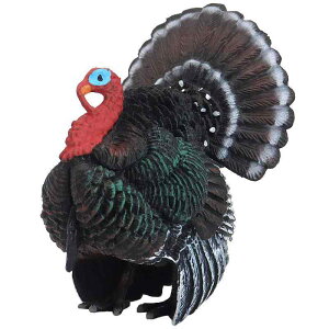 ʒ ^[L[ tBMA l` zr[  ͌^ V~[V  A RNV fBXvC ~j`A vX`bN  q Mtg