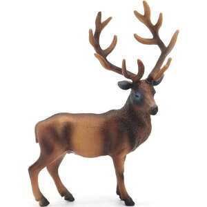 giJC VJ  tBMA l` zr[  ͌^ V~[V  A RNV fBXvC ~j`A 킢  q Mtg