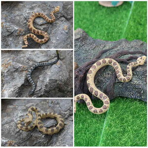 wr Xl[N tBMA l` zr[  ͌^ V~[V  A RNV fBXvC ~j`A ͋[ ঒  q Mtg