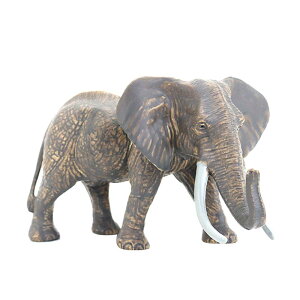 ]E }X tBMA l` zr[  ͌^ V~[V  A RNV fBXvC ~j`A ͋[  q  i