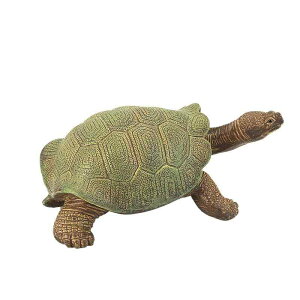 T tBMA l` zr[  ͌^ V~[V  A RNV fBXvC ~j`A ͋[ J i q Mtg  ^[g