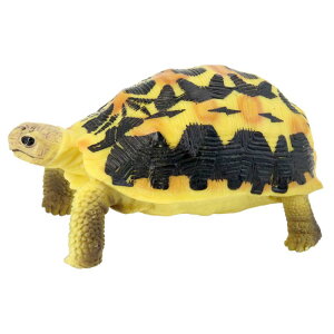 ^[g J tBMA l` zr[  ͌^ V~[V  A RNV fBXvC ~j`A ͋[ i q Mtg 