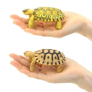 J ^[g tBMA l` zr[  ͌^ V~[V  A RNV fBXvC ~j`A ͋[ i q Mtg 