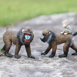 }gqq tBMA l` zr[  ͌^ V~[V  A RNV fBXvC ~j`A ͋[  i q  Mtg