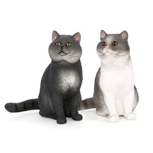 L V[gwA tBMA l` zr[  ͌^ V~[V  A RNV fBXvC ~j`A 킢 q  i