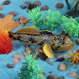 n[  tBMA l` zr[  ͌^ V~[V  A RNV fBXvC ~j`A ͋[ i CeA Mtg