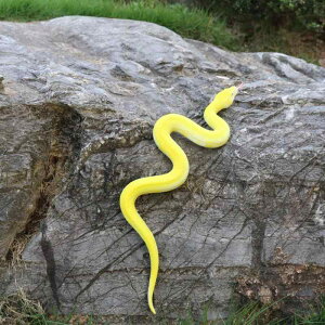 wr Xl[N tBMA l` zr[  ͌^ V~[V  A RNV fBXvC ~j`A ͋[ \tgo[ O 