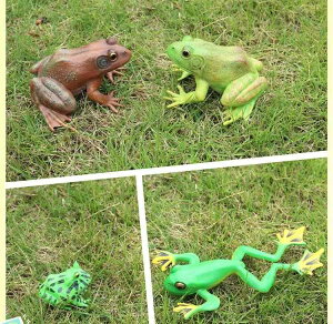 EVKG tBMA l` zr[  ͌^ V~[V  A RNV fBXvC ~j`A  q  Mtg