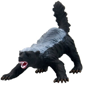 tBMA l` zr[  ͌^ V~[V  A RNV fBXvC ~j`A ͋[ 킢 nj[oW[ q  Mtg