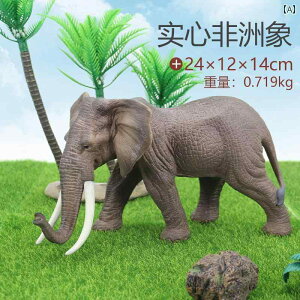 TC ]E tBMA l` zr[  ͌^ V~[V  A RNV fBXvC ~j`A 傫 i  q Mtg