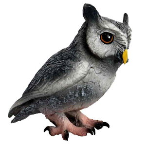 tNE tBMA l` zr[  ͌^ V~[V  A RNV fBXvC ~j`A s   q  Mtg