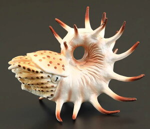 Ð tBMA l` zr[  ͌^ V~[V  A RNV fBXvC ~j`A Mtg i  v[g