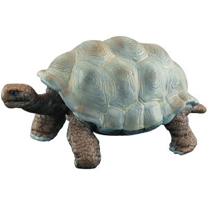 J ^[g tBMA l` zr[  ͌^ V~[V  A RNV fBXvC ~j`A q i  v[g