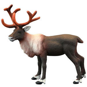 giJC tBMA l` zr[  ͌^ V~[V  A RNV fBXvC ~j`A q Mtg  VJ