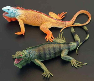 COAi gJQ tBMA l` zr[  ͌^ V~[V  A RNV fBXvC ~j`A q ঒ Mtg i 