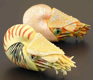 m[`X IEKC tBMA l` zr[  ͌^ V~[V  A RNV fBXvC ~j`A Ð q Mtg i