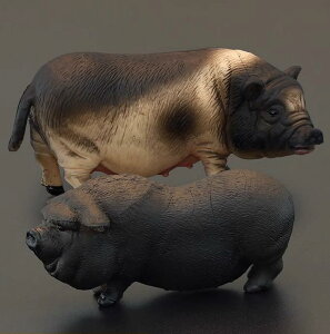 u^ sbO ƒ{ tBMA l` zr[  ͌^ V~[V  A RNV fBXvC ~j`A q Mtg i 