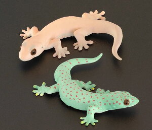  tBMA l` zr[  ͌^ V~[V  A RNV fBXvC ~j`A q ঒ Mtg i 