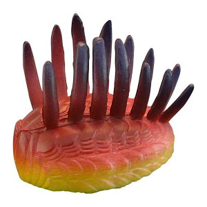 Ð tBMA l` zr[  ͌^ V~[V  A RNV fBXvC ~j`A q  Mtg i 