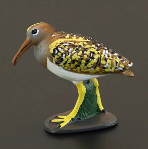  tBMA l` zr[  ͌^ V~[V  A RNV fBXvC ~j`A o[h q Jt  v[g