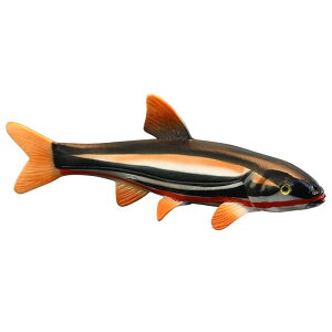  tBMA l` zr[  ͌^ V~[V  A RNV fBXvC ~j`A q i   v[g