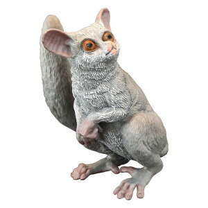 Aj} tBMA l` zr[  ͌^ V~[V  A RNV fBXvC ~j`A q  Mtg i 