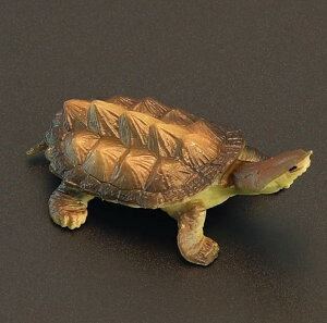 J tBMA l` zr[  ͌^ V~[V  A RNV fBXvC ~j`A q Mtg i ^[g 