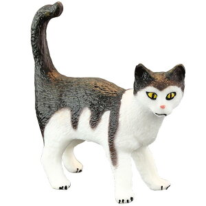 L tBMA l` zr[  ͌^ V~[V  A RNV fBXvC ~j`A q Mtg i 킢 Lbg