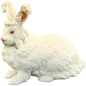 ASETM tBMA l` zr[  ͌^ V~[V  A RNV fBXvC ~j`A q   Mtg i